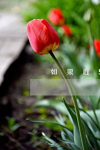 如果近5年内有逾期能买房吗