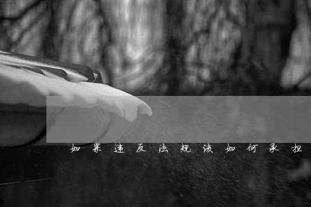 如果违反法规该如何承担 如果违反法规该如何承担
