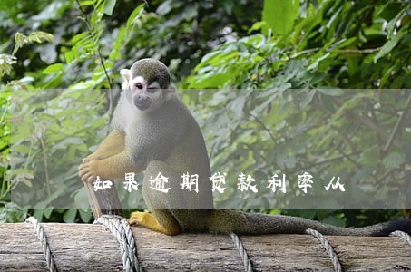 如果逾期贷款利率从 如果逾期贷款利率从
