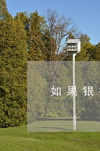如果银行卡一直显示逾期 如果银行卡一直显示逾期
