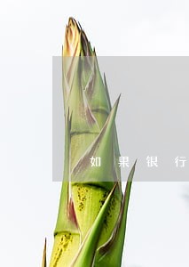 如果银行委托贷款逾期 如果银行委托贷款逾期