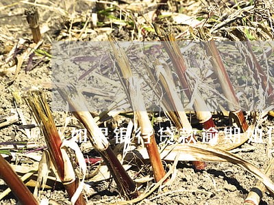 如果银行贷款逾期如何处理 如果银行贷款逾期如何处理