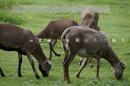 如果银行逾期还不了啦怎么办 如果银行逾期还不了啦怎么办