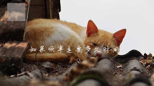 如果顺丰走要多久时间 如果顺丰走要多久时间