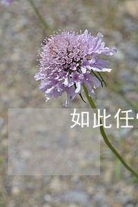 如此任性违法