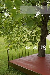 如法院强制执行 如法院强制执行
