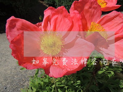 如皋免费法律咨询在哪里 如皋免费法律咨询在哪里
