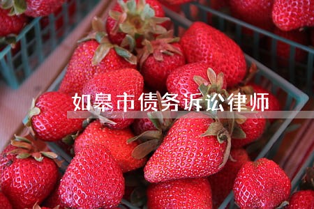 如皋市债务诉讼律师 如皋市债务诉讼律师