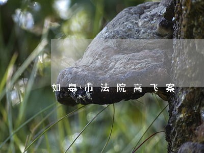 如皋市法院高飞案 如皋市法院高飞案