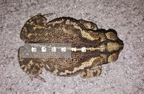 如皋法院抖音 如皋法院抖音