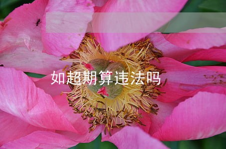如超期算违法吗