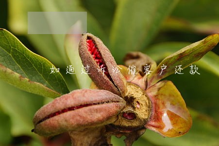 如通过诉讼催客户还款