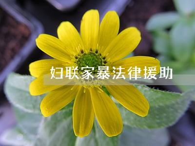 妇联家暴法律援助 妇联家暴法律援助
