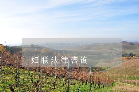 妇联法律咨询 妇联法律咨询