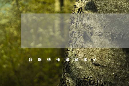 妇联法律援助中心 妇联法律援助中心