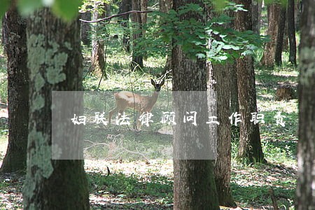 妇联法律顾问工作职责 妇联法律顾问工作职责