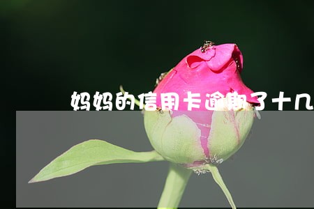 妈妈的信用卡逾期了十几万 妈妈的信用卡逾期了十几万