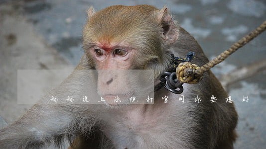 妈妈说上法院打官司你要想好 妈妈说上法院打官司你要想好