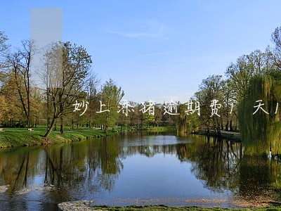 妙上添猪逾期费1天100 妙上添猪逾期费1天100