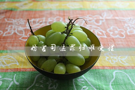 妨害司法罪归谁受理 妨害司法罪归谁受理
