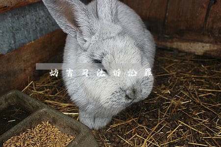 妨害司法诉讼罪