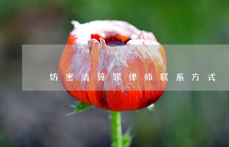 妨害清算罪律师联系方式 妨害清算罪律师联系方式