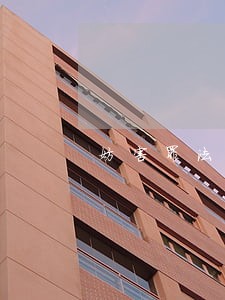 妨害罪法条 妨害罪法条
