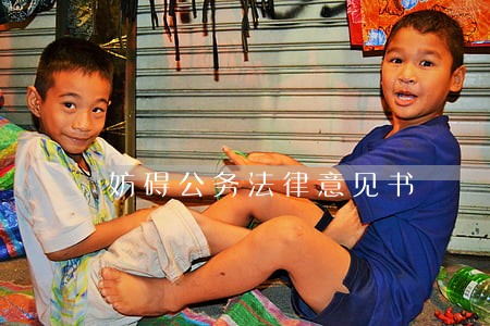 妨碍公务法律意见书 妨碍公务法律意见书