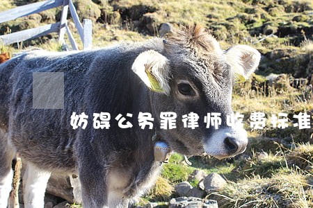 妨碍公务罪律师收费标准在线咨询 妨碍公务罪律师收费标准在线咨询
