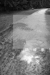 妨碍新型冠状病毒感染肺炎防控违法犯罪的意见 妨碍新型冠状病毒感染肺炎防控违法犯罪的意见