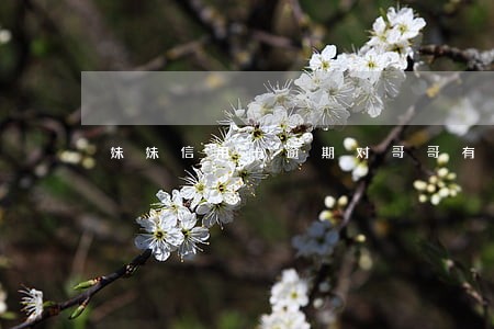 妹妹信用卡逾期对哥哥有影响么 妹妹信用卡逾期对哥哥有影响么