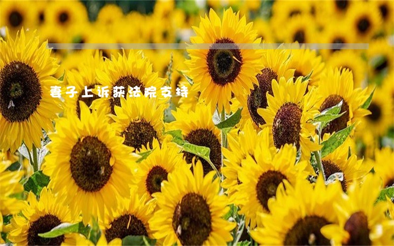 妻子上诉获法院支持 妻子上诉获法院支持