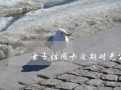 妻子信用卡逾期对老公有影响吗 妻子信用卡逾期对老公有影响吗