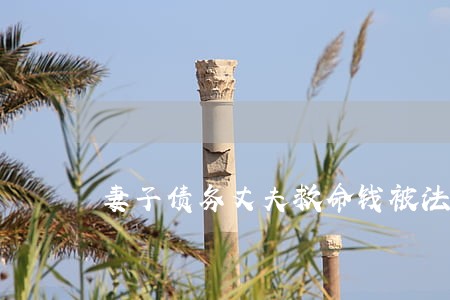 妻子债务丈夫救命钱被法院冻结 妻子债务丈夫救命钱被法院冻结