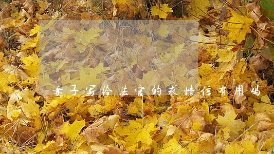 妻子写给法官的求情信有用吗 妻子写给法官的求情信有用吗