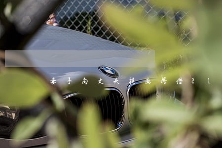 妻子向丈夫提离婚借21万 妻子向丈夫提离婚借21万