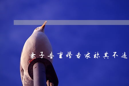 妻子告重婚专家称其不违法