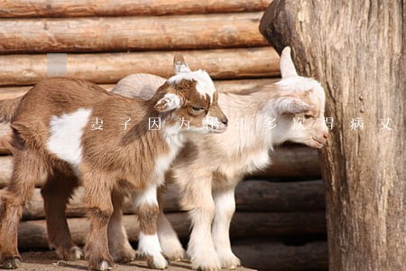 妻子因为出轨多次得病丈夫离婚 妻子因为出轨多次得病丈夫离婚