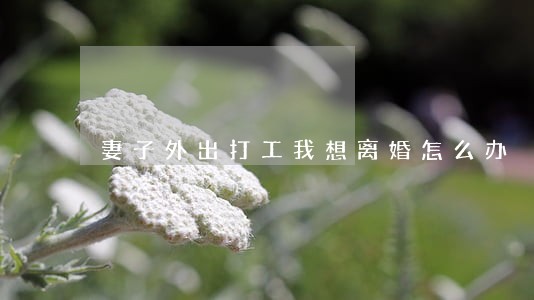 妻子外出打工我想离婚怎么办 妻子外出打工我想离婚怎么办