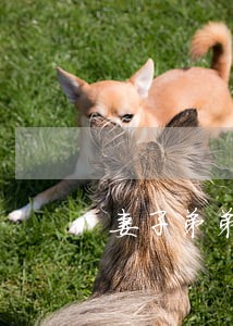 妻子弟弟用信用卡逾期 妻子弟弟用信用卡逾期