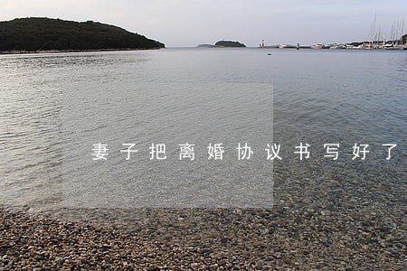 妻子把离婚协议书写好了 妻子把离婚协议书写好了