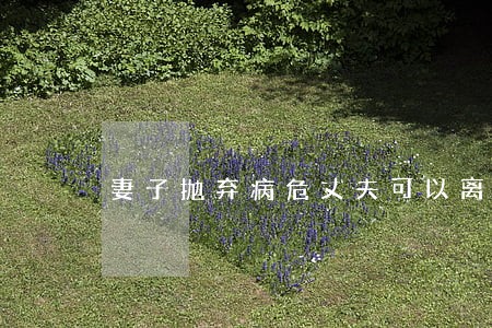 妻子抛弃病危丈夫可以离婚吗 妻子抛弃病危丈夫可以离婚吗