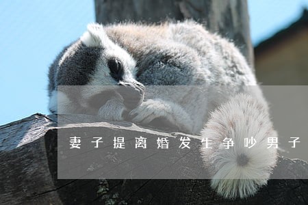 妻子提离婚发生争吵男子一怒之下 妻子提离婚发生争吵男子一怒之下