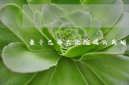 妻子无奈去法院提出离婚 妻子无奈去法院提出离婚