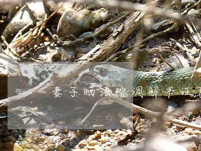 妻子晒法院调解书证真相 妻子晒法院调解书证真相