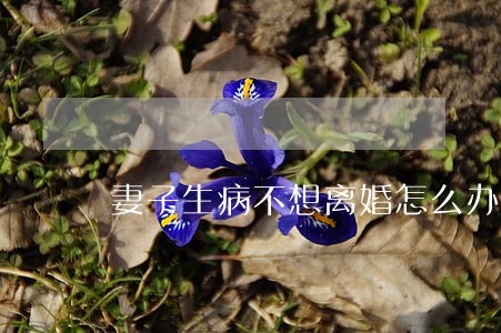 妻子生病不想离婚怎么办