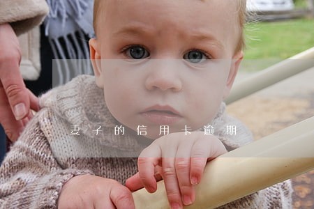 妻子的信用卡逾期 妻子的信用卡逾期