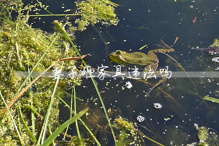 妻子砸家具违法吗