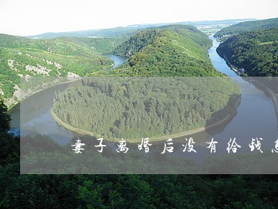 妻子离婚后没有给钱怎么办 妻子离婚后没有给钱怎么办