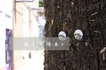 妻子离婚要500万 妻子离婚要500万